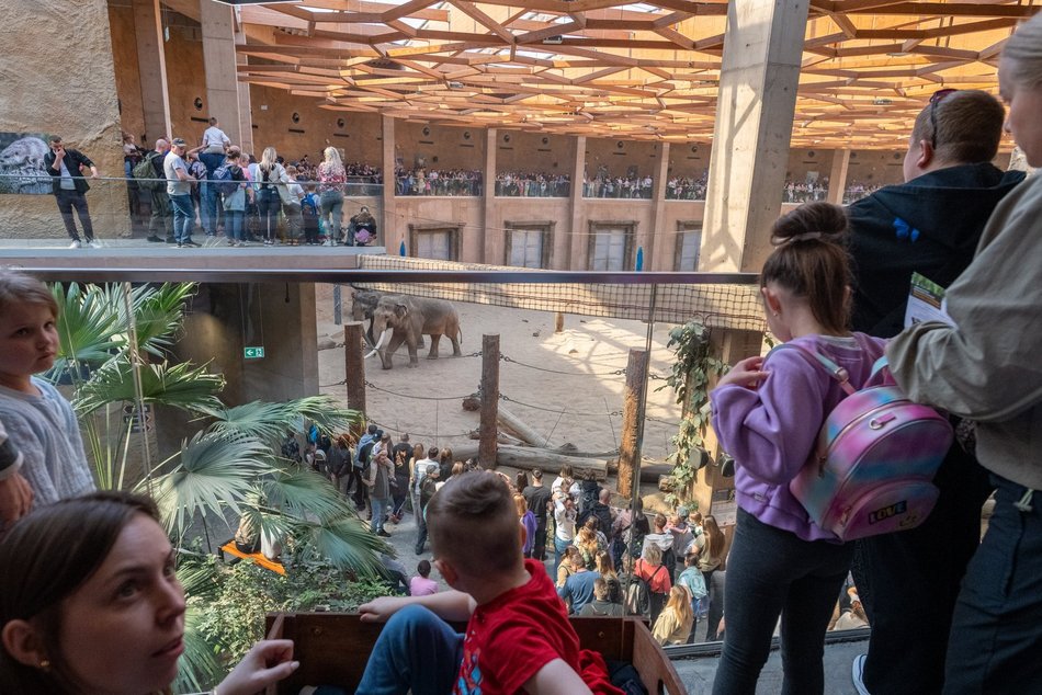 Tłumy w Orientarium Zoo Łódź! Nowości przyciągają jak magnes!