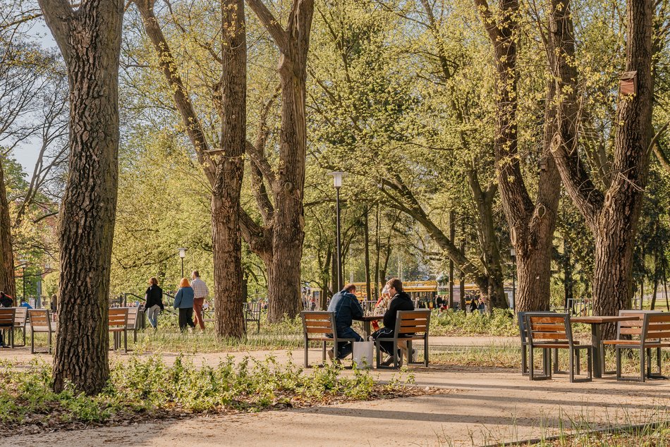 Park Staromiejski w Łodzi - wiosna, zieleń