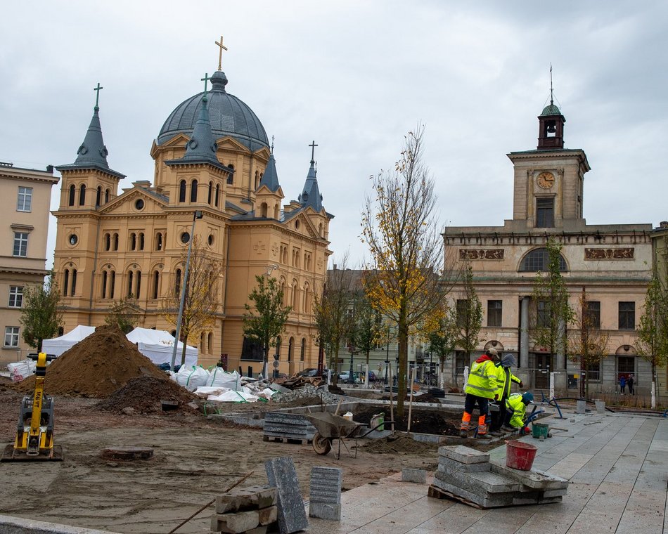 Plac Wolności z kolejnymi drzewami