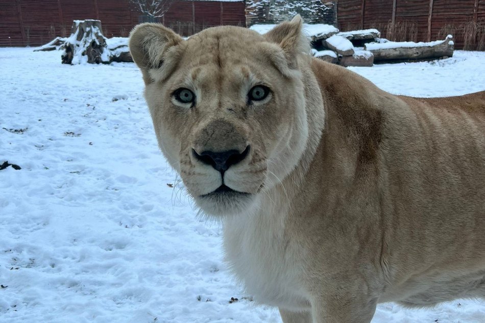 Łódź. Ferie 2026 w Łódzkiem