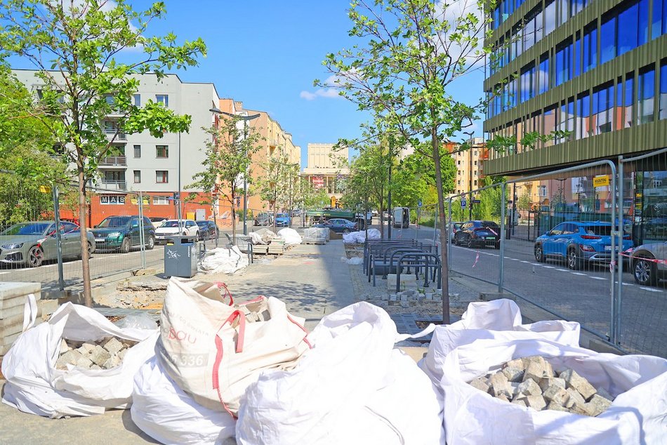 Łódź. Więcej zieleni w centrum! Zamiast betonu będą kolorowe byliny, krzewy i piękne rabaty