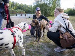 Psiejski piknik rodzinny na Uroczysku Lublinek w Łodzi. Co to była za zabawa!