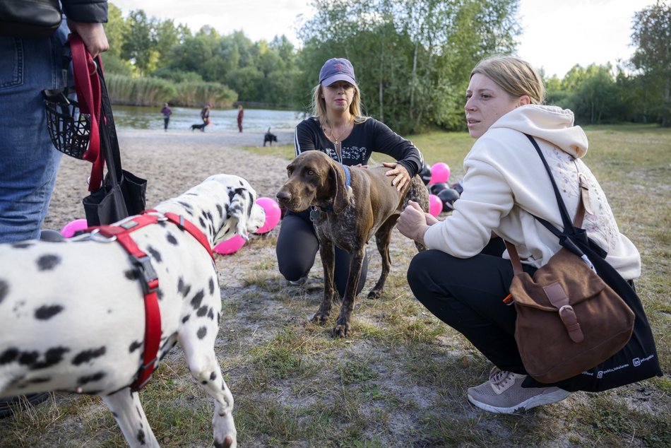 Psiejski piknik rodzinny na Uroczysku Lublinek w Łodzi. Co to była za zabawa!