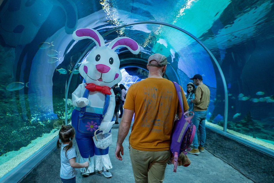 Łódź. Wielkanocny zając w Orientarium Zoo Łódź