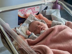 Dwoje z czworaczków nabiera jeszcze sił w Matce Polce