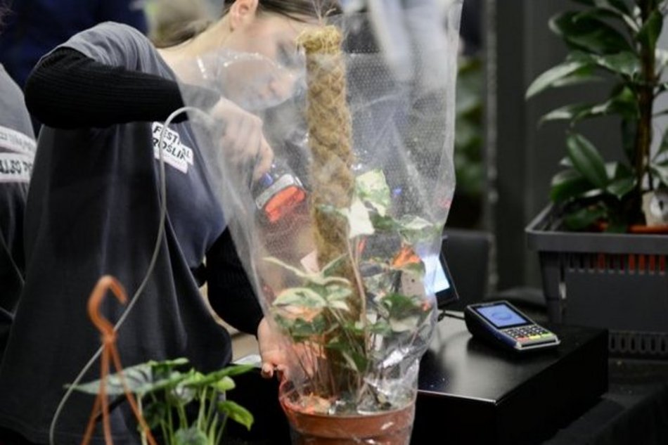 Festiwal Roślin w EC1 Łódź. Zobacz, jakie okazy możesz tu upolować. Jeszcze zdążysz!