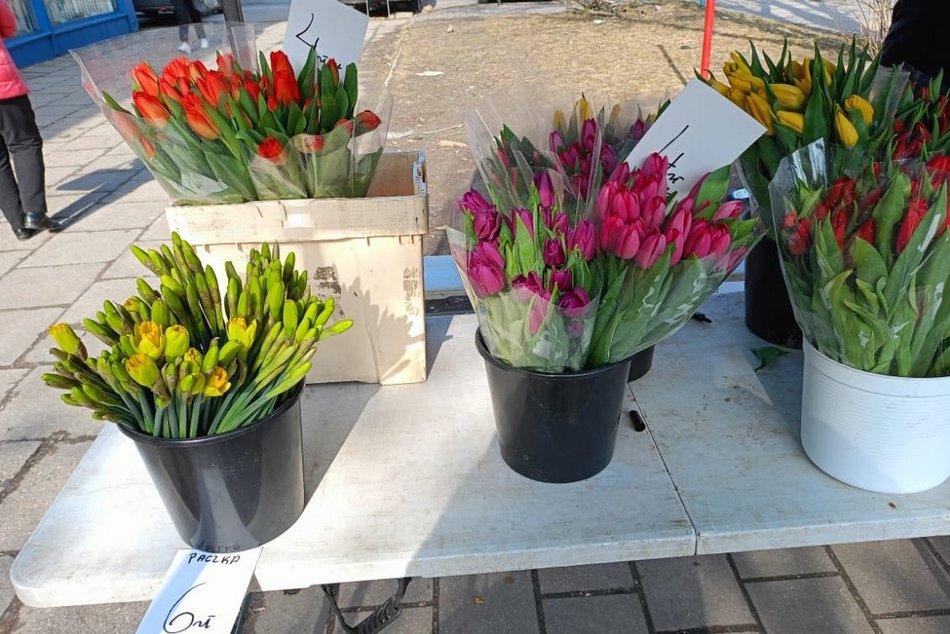 Łódź. Ceny kwiatów w Łodzi. Rynki, stragany, kwiaciarnie i supermarkety