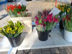 Łódź. Ceny kwiatów w Łodzi. Rynki, stragany, kwiaciarnie i supermarkety