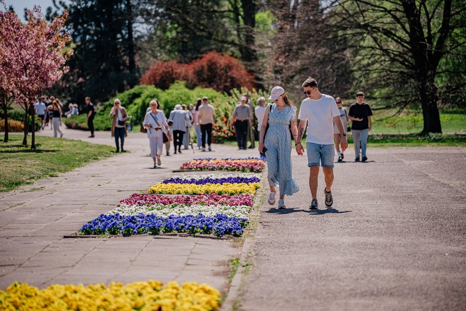 Łódź. Ogród Botaniczny w Łodzi w wiosennej odsłonie