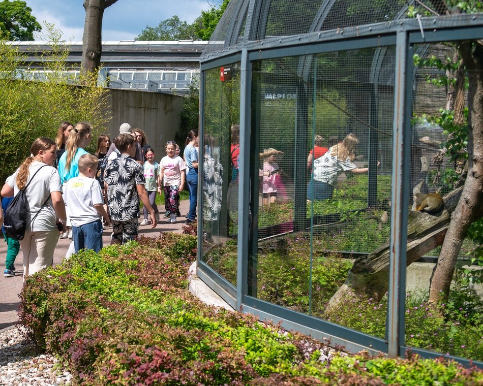 Łódź. Dzień Dziecka w Orientarium Zoo Łódź. Tylu atrakcji tam jeszcze nie było!