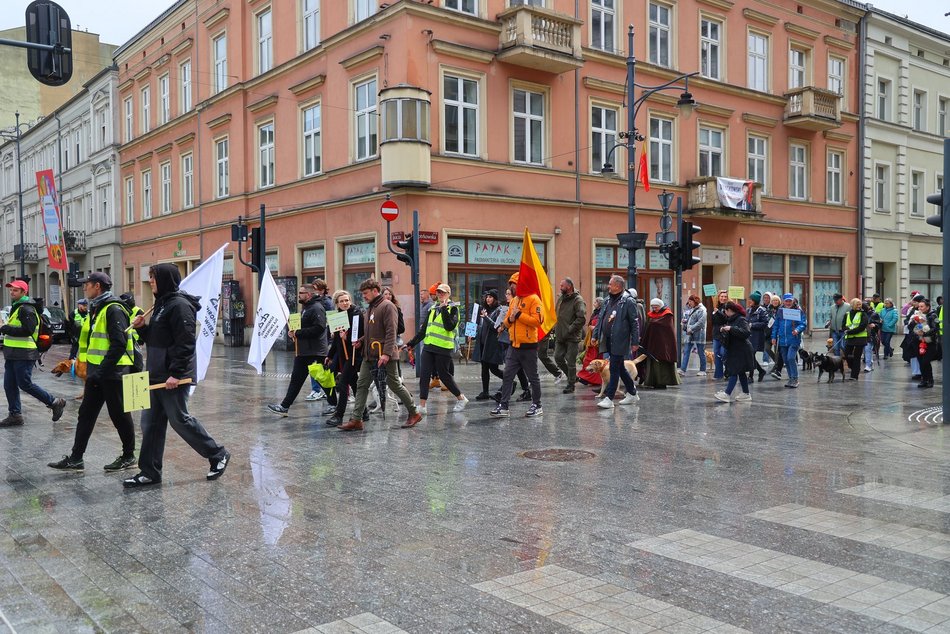 Parada kundelków w Łodzi 2025 przeszła ulicami. Skala słodyczy wysoka jak nigdy!