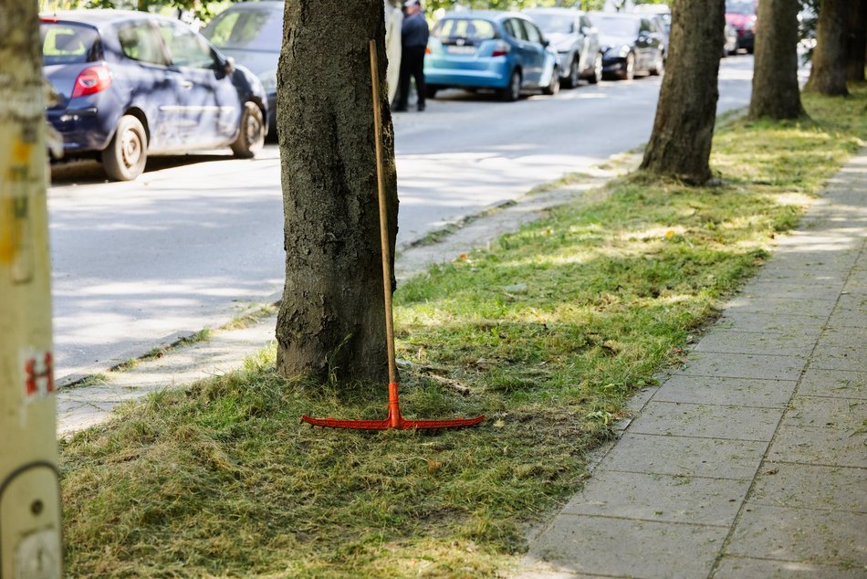 Łódź. Prace pielęgnacyjne w parku przy Leczniczej w Łodzi. Będzie ładniej i wygodniej!