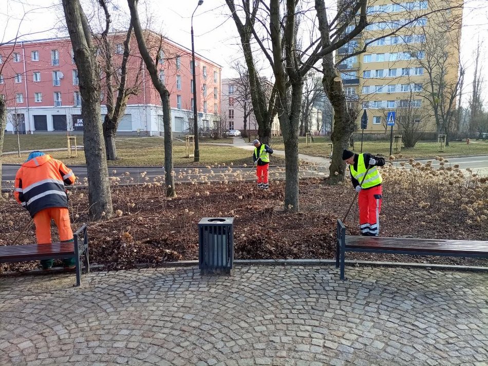 Łodź. Sprzątanie na terenach zieleni miejskiej