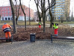 Łodź. Sprzątanie na terenach zieleni miejskiej