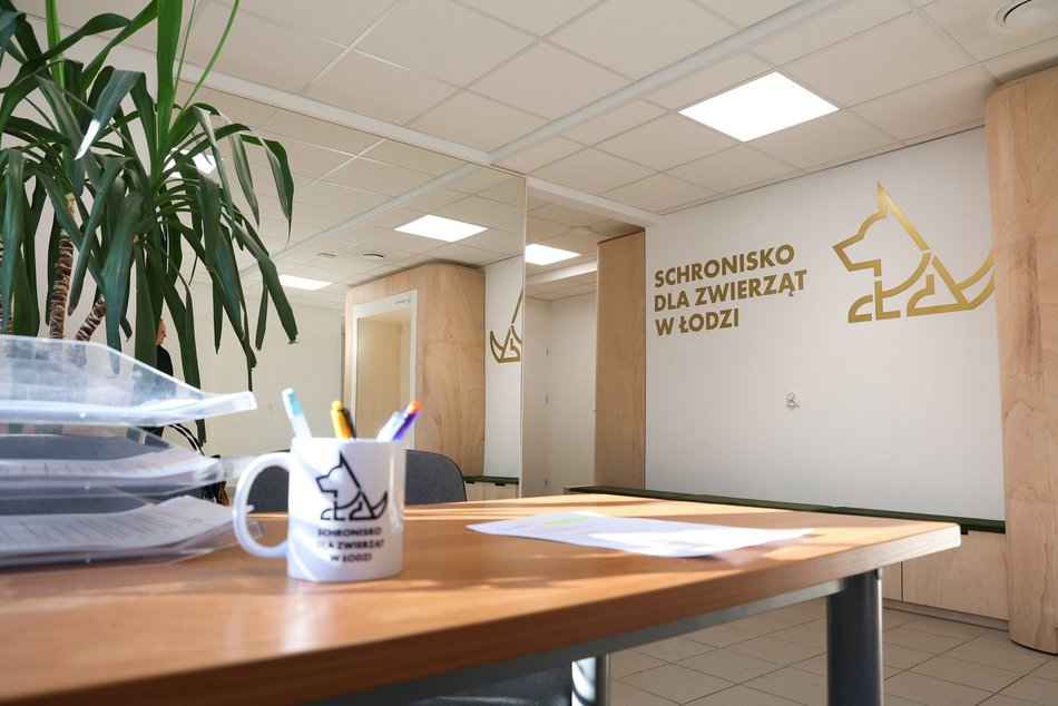 Łódź. Nowa przestrzeń adopcyjna w schronisku w Łodzi
