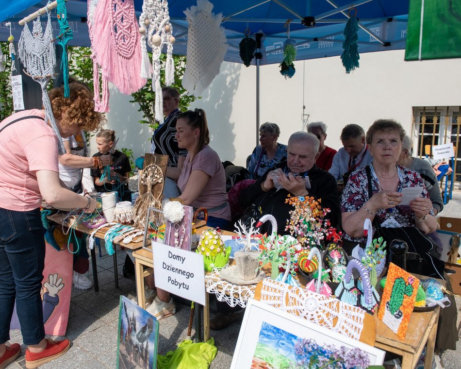 Majówka u Majewskiego