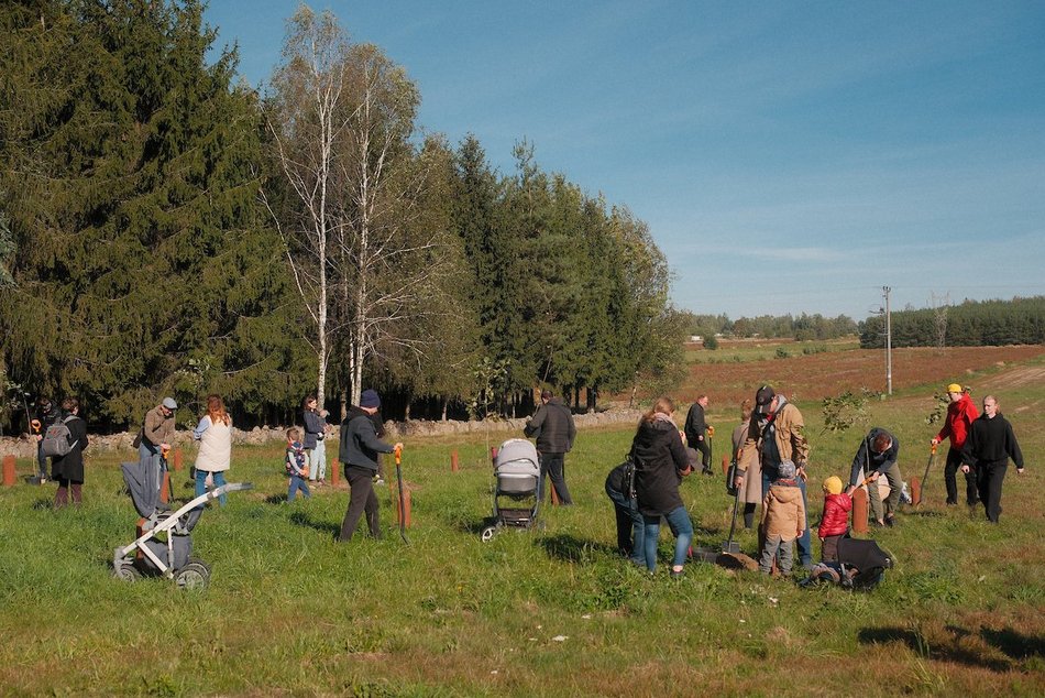 Las Młodej Łodzi powiększył się! Nowe dęby i lipy na pamiątkę narodzin dziecka