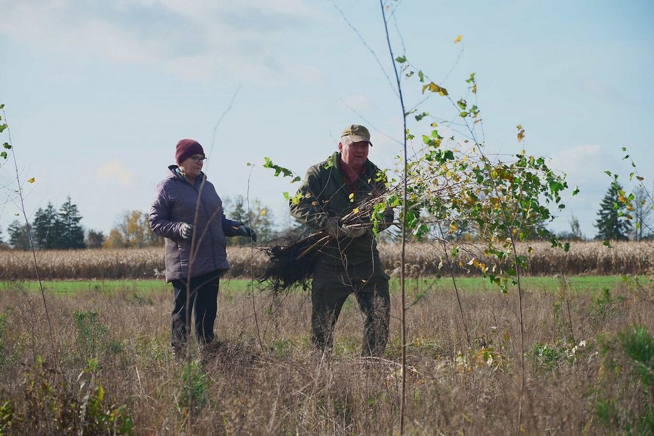 Łódź. Przybędzie aż 15 tysięcy nowych drzew