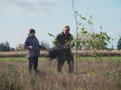 Łódź. Przybędzie aż 15 tysięcy nowych drzew