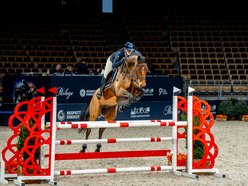 Łódź. Cavaliada Tour w Atlas Arenie w Łodzi wystartowała! Zobacz zdjęcia z pierwszego dnia zmagań