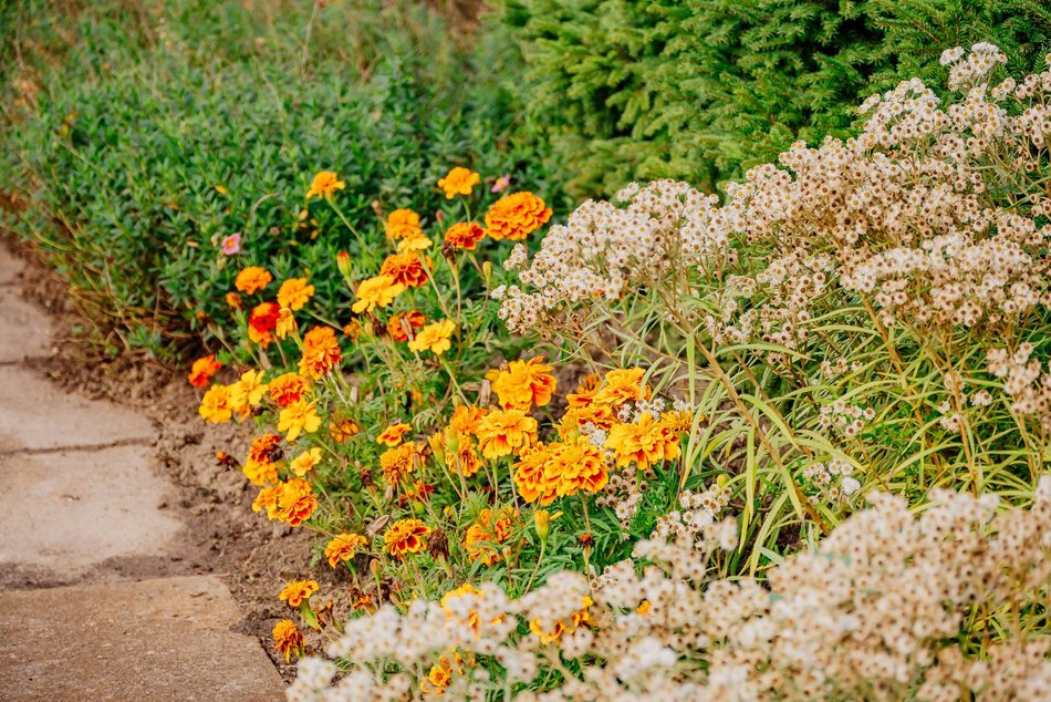 Łódź. Jesień w Ogrodzie Botanicznym w Łodzi. Tam z pewnością pokochasz tę porę roku!