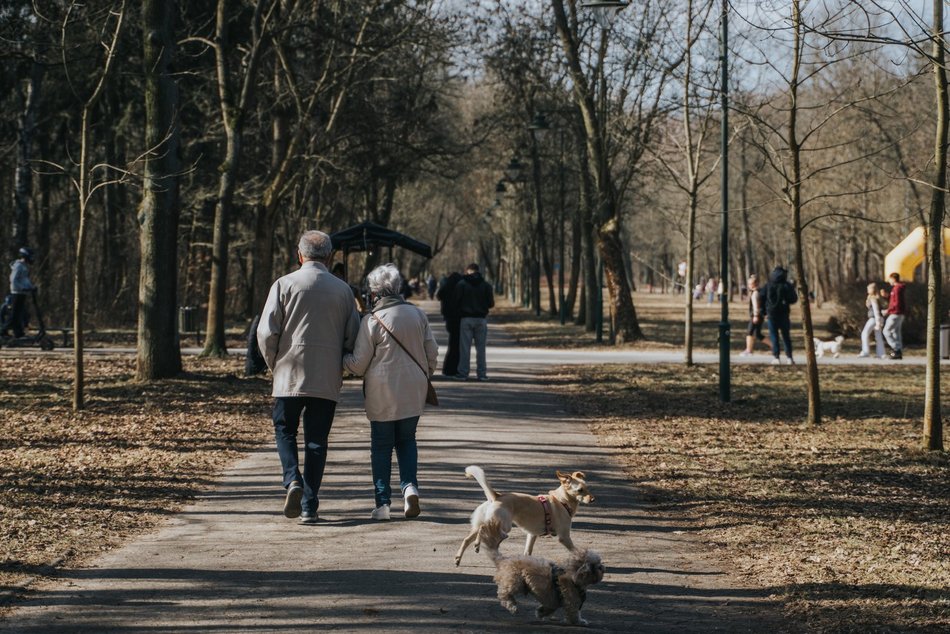 Łódź. Dobra pogoda w Łodzi sprzyja spacerowaniu! Tłumy w Parku na Zdrowiu w Łodzi