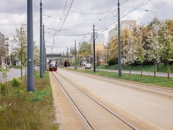 Łódź. Zielona trasa W-Z w Łodzi. Ponad 2 tysiące drzew kwitnie od Retkini po Olechów!