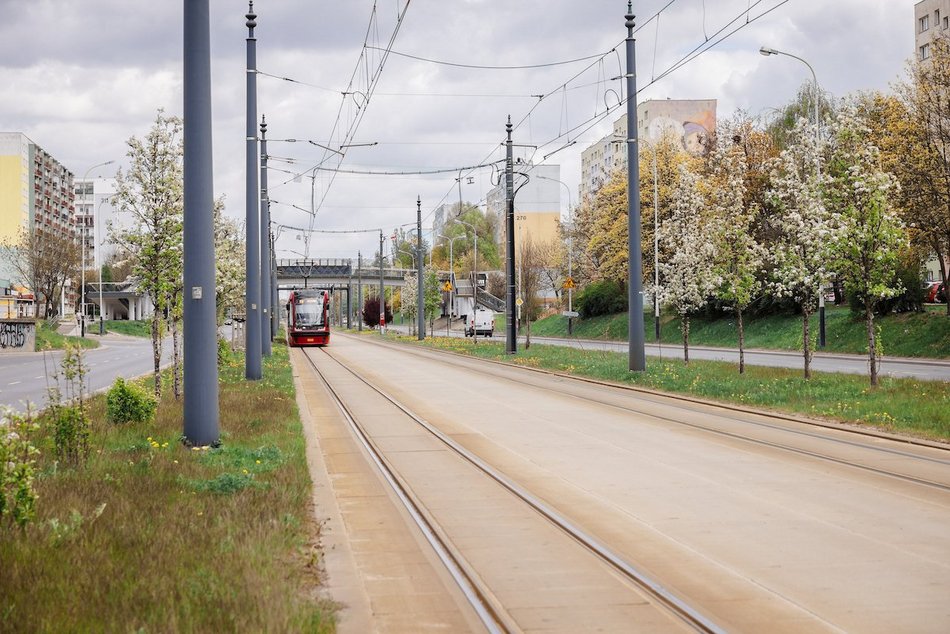 Łódź. Zielona trasa W-Z w Łodzi. Ponad 2 tysiące drzew kwitnie od Retkini po Olechów!