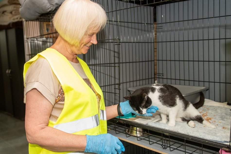 Wielka inwestycja w schronisku w Łodzi. Nowy teren, kojce i przestrzeń edukacyjna