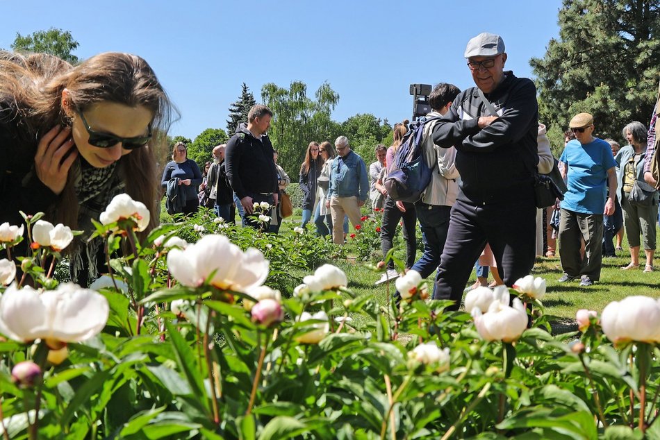 Ogród Botaniczny w Łodzi. Kwitnące rośliny