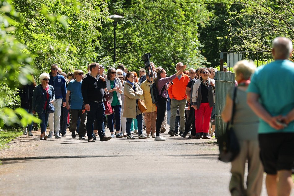 Ogród Botaniczny w Łodzi. Kwitnące rośliny