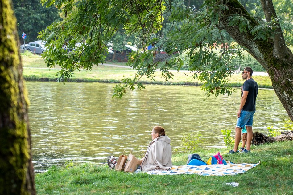 Piknik w parku na Młynku