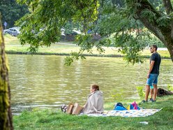 Piknik w parku na Młynku