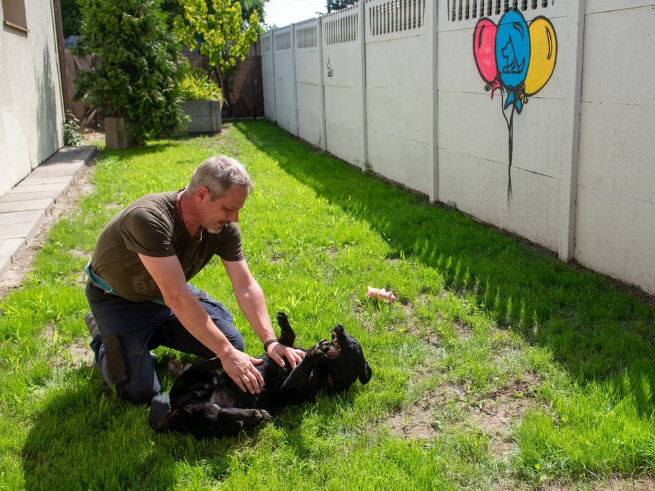 Rekordowa liczba adopcji psów ze Schroniska w Łodzi