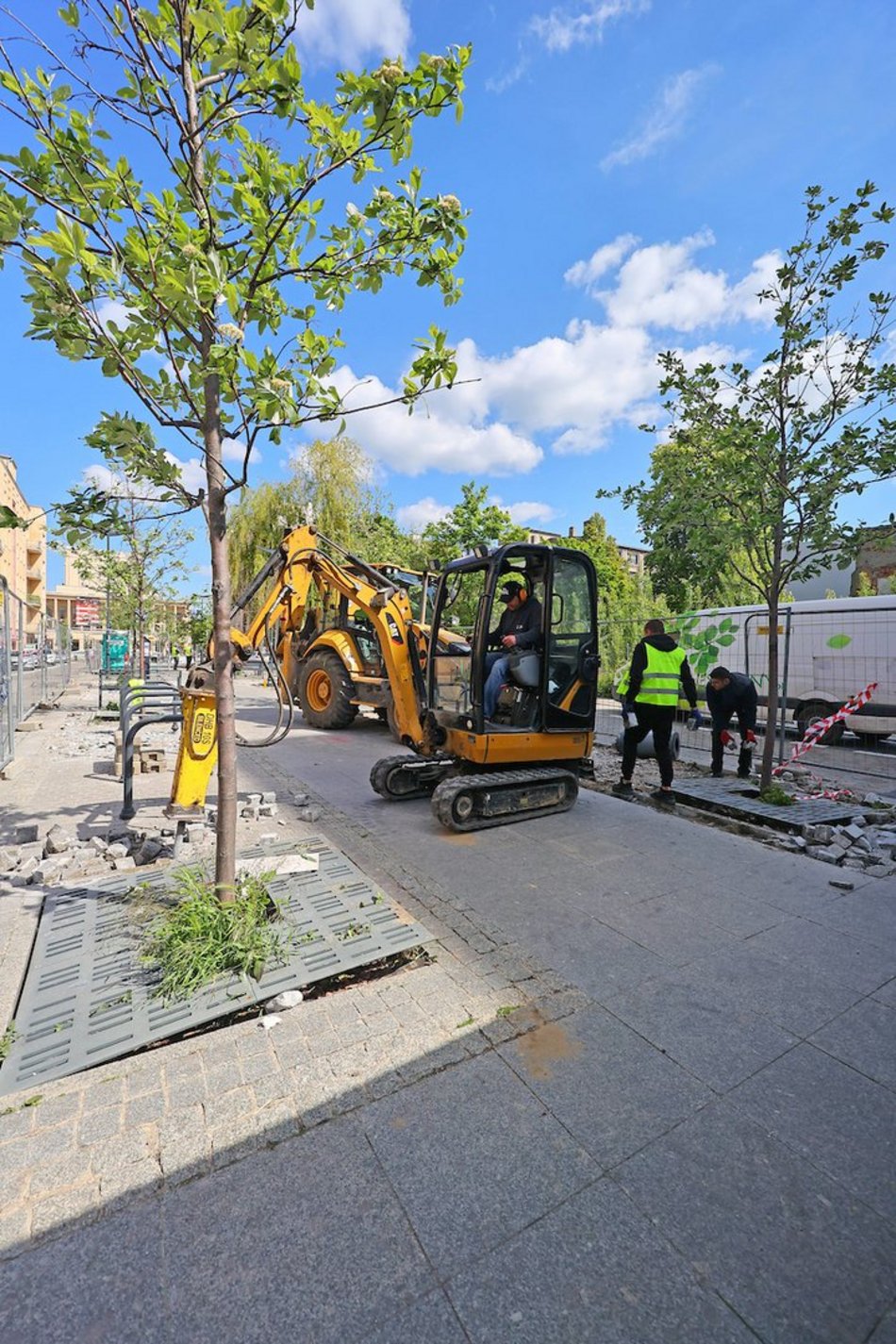 Łódź. Więcej zieleni w centrum! Zamiast betonu będą kolorowe byliny, krzewy i piękne rabaty