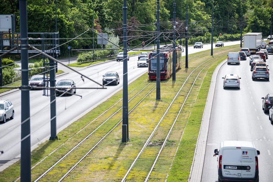 Łódź. Ponad 30 kilometrów najbardziej zielonych torowisk w Polsce? Oczywiście w Łodzi!