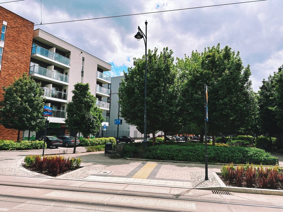 Łódź, ul. Legionów i Pogonowskiego, zieleniec