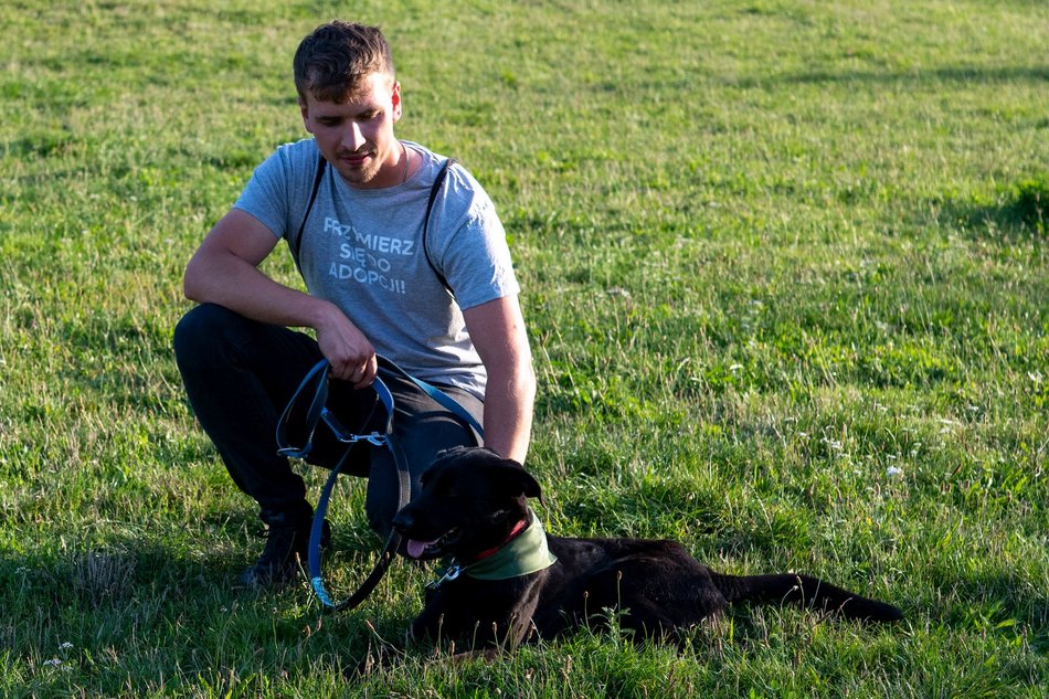 Łódź. Psia Polówka na Widzewskiej Górce. Psiaki przejęły dowodzenie!