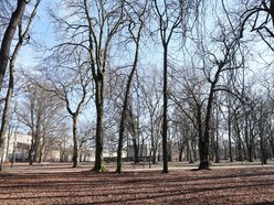 Remont Parku Reymonta w Łodzi. Na co przeznaczą 250 tys. złotych dofinansowania?