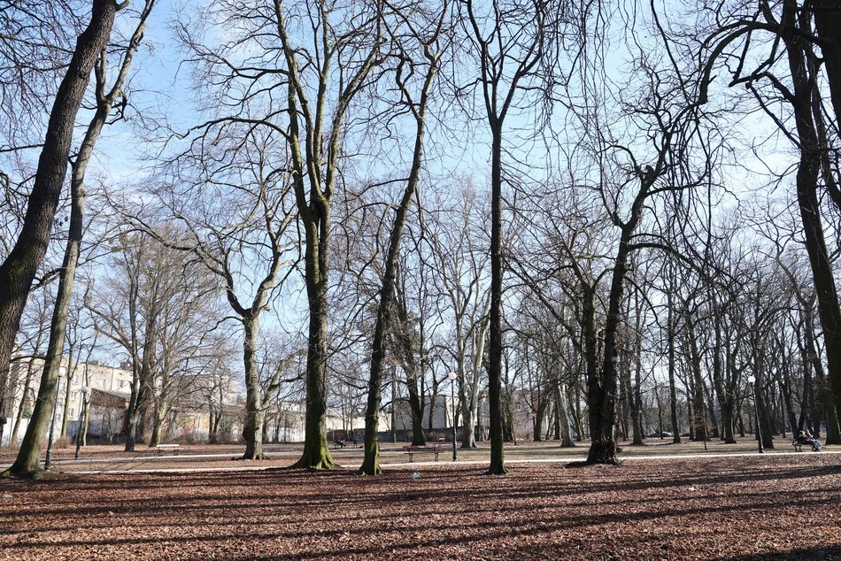 Remont Parku Reymonta w Łodzi. Na co przeznaczą 250 tys. złotych dofinansowania?