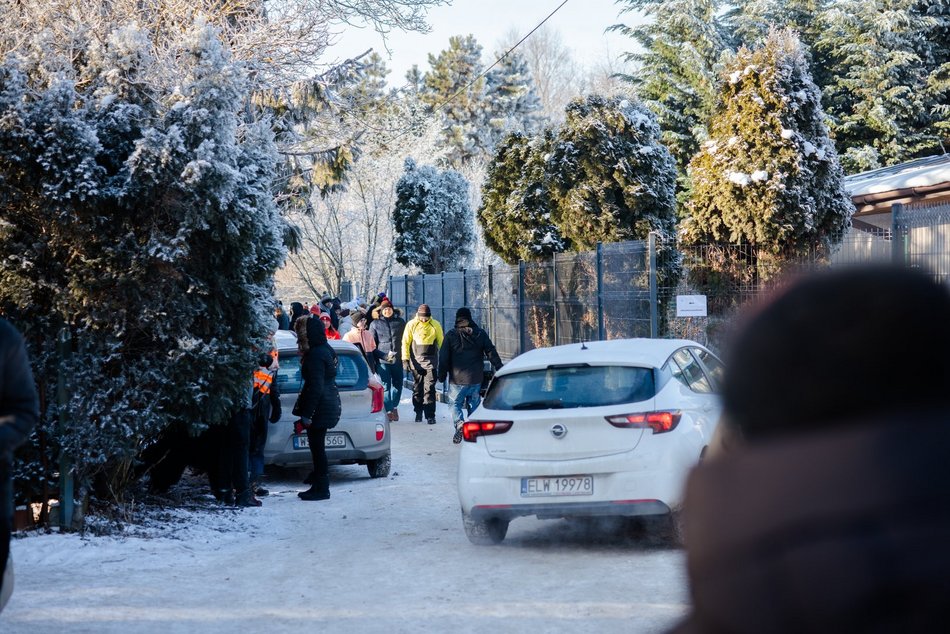 Łódź. Psy ze schroniska w Łodzi na spacerze