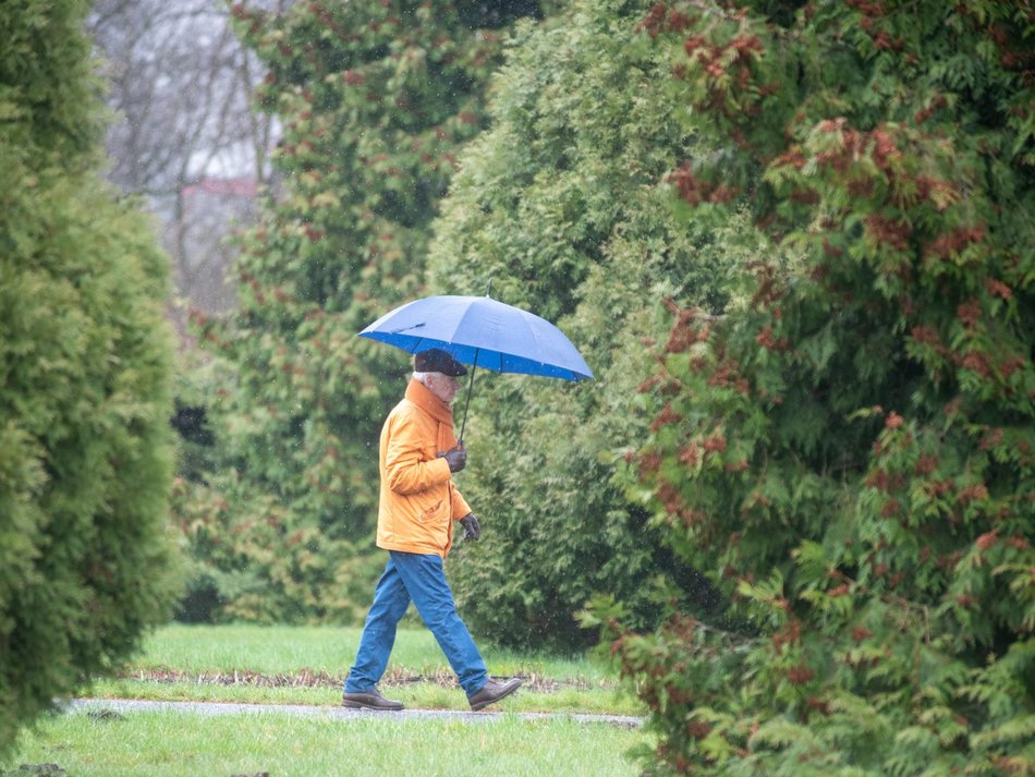 Ogród Botaniczny w Łodzi