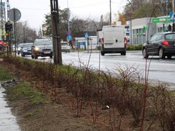 Sadzenie krzewów wzdłuż ulicy Retkińskiej