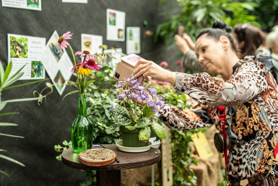 Łódź. Co robić w długi weekend w Łodzi? Kino pod chmurką, Rave for Dogs, Targ Staroci, wegański festiwal kulinarny