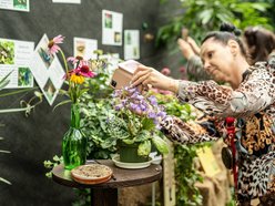 Łódź. Co robić w długi weekend w Łodzi? Kino pod chmurką, Rave for Dogs, Targ Staroci, wegański festiwal kulinarny