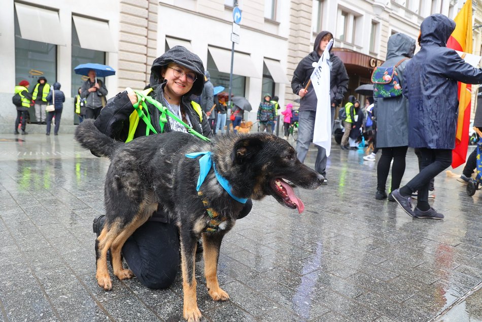 Parada kundelków w Łodzi 2025 przeszła ulicami. Skala słodyczy wysoka jak nigdy!