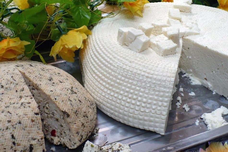 Sery kozie z Drużbina