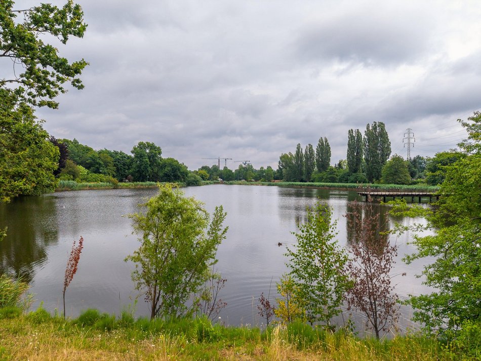 Łódź. Staw przy Przędzalnianej w Łodzi w trakcie czyszczenia. Tam będzie jeszcze piękniej!