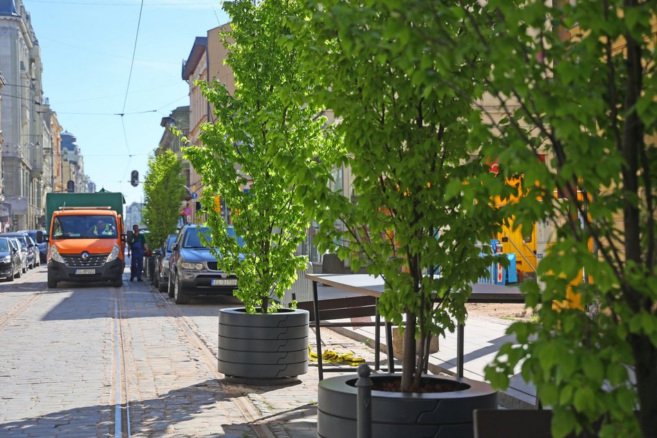 Nowe drzewa przy Zielonej w Łodzi. Zobacz, jak stawiali wielkie donice