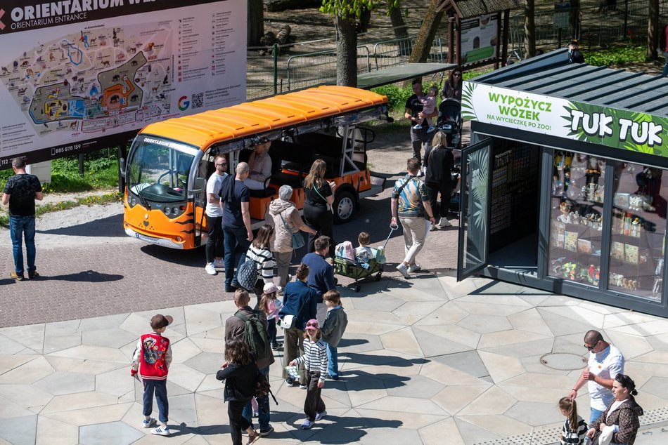 Tłumy w Orientarium Zoo Łódź! Nowości przyciągają jak magnes!